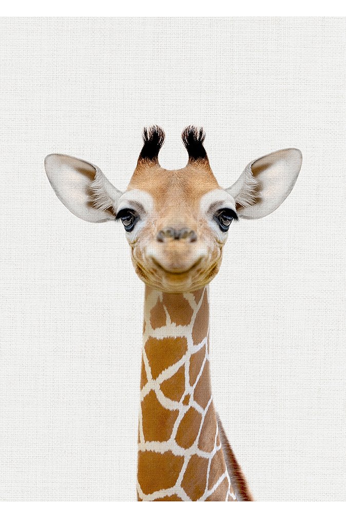 5eda9cb4e5c43_02size_5x7ratio_giraffe_canvas_oonawallart.jpg