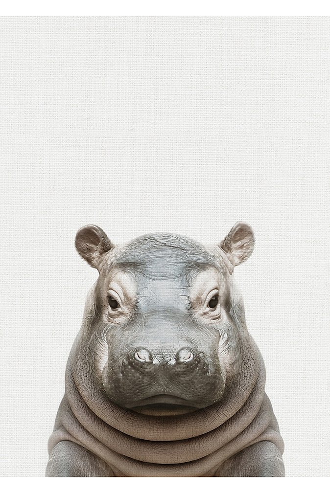 5eda9d3538862_02size_5x7ratio_hippo_canvas_oonawallart.jpg